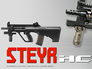 STEYR