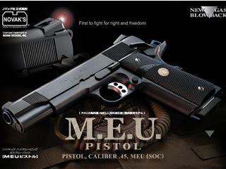 MEU ¥Ô¥¹¥È¥ë