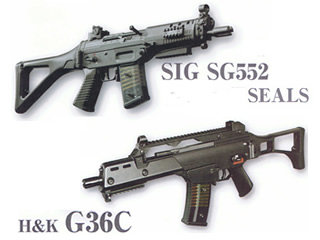 G36 & SG552